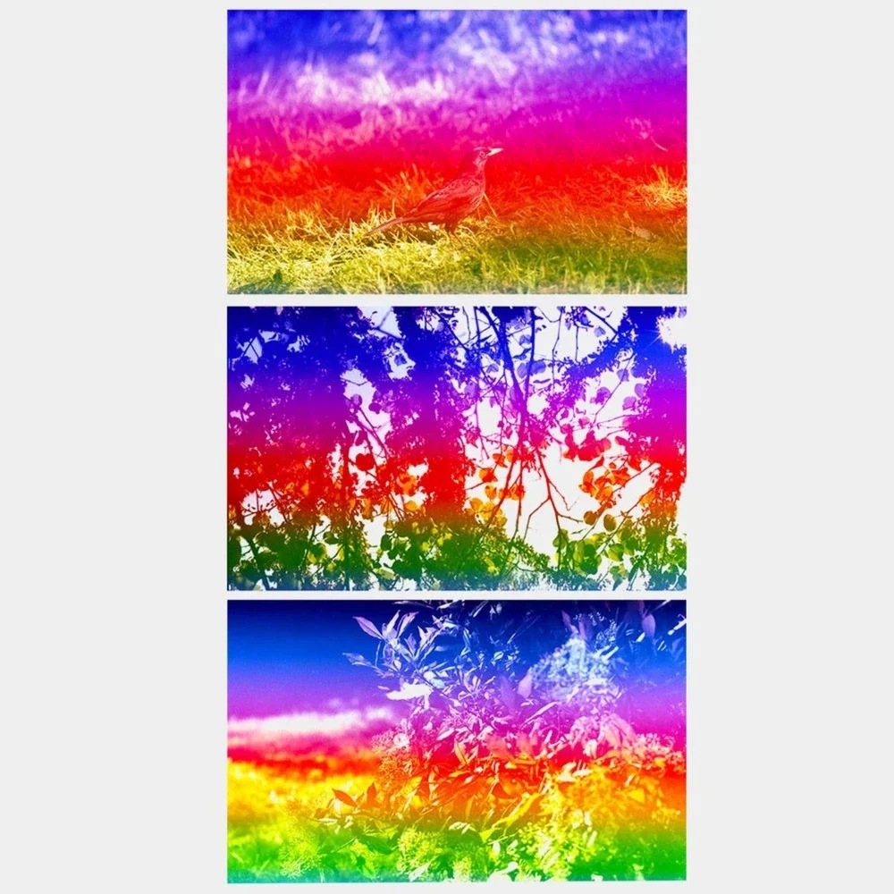 Yodica Pegasus 35mm Film Special Effect Color Negative Film 1 Roll‎